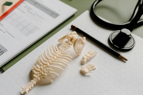 Conseils pour renforcer leurs effets des compléments alimentaires